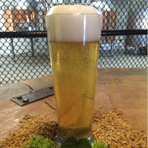Beer Logo